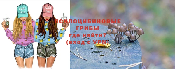 бутират Баксан