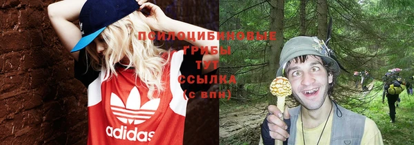 MESCALINE Аркадак