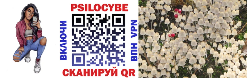 где можно купить Пудож Псилоцибиновые грибы прущие грибы